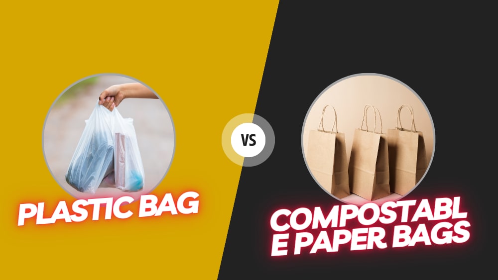 How Are Compostable Paper Bags Made?